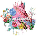 Vetusta Morla: Mismo Sitio Distinto Lugar - COMPACT DISCS