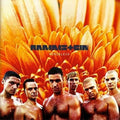 Rammstein: Herzeleid - {VINYL LP}