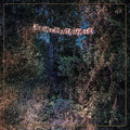 The Eyelids: Accidental Falls - COMPACT DISCS