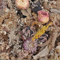 Drowse: Cold Air - {VINYL LP}