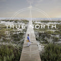 Lawson Rollins: True North - COMPACT DISCS