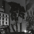 Manuel Pessoa De Lima: Realejo - {VINYL LP}