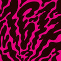 16-17: Phantom Limb - {VINYL LP}