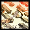 I'm Kingfisher: Transit - {VINYL LP}