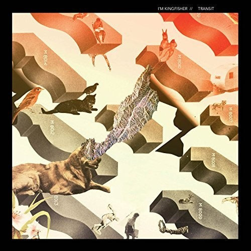 I'm Kingfisher: Transit - {VINYL LP}
