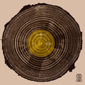 Various Artists: Muna Musik 011 (Various Artists) - 12-INCH SINGLE