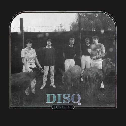 Disq: Collector - {VINYL LP}