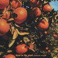 Shannon Wright: Dyed in the Wool - COMPACT DISCS