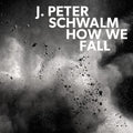 Jan-Peter Schwalm: How We Fall - {VINYL LP}