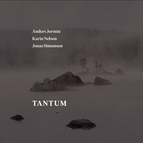 Bach, J.S. / Jormin / Simonson: Tantum - COMPACT DISCS