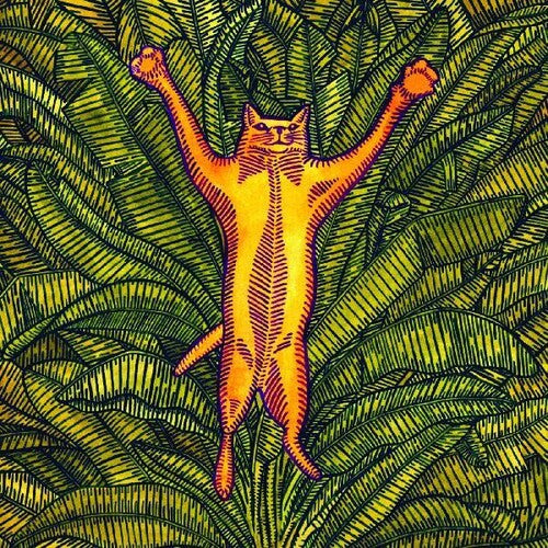 Brian Marsella: Gatos Do Sul - COMPACT DISCS
