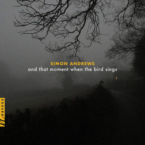 Andrews / Maurer: & That Moment When the Bird Sings - COMPACT DISCS