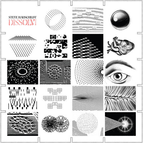 Steve Hauschildt: Dissolvi - {VINYL LP}