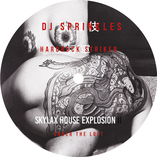 DJ Sprinkles & Hardrock Striker: Under The Loft - 12-INCH SINGLE