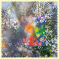 Four Tet: Sixteen Oceans - {VINYL LP}