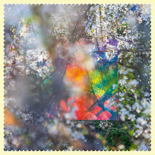 Four Tet: Sixteen Oceans - {VINYL LP}