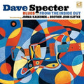 Dave Specter: Blues From The Inside Out - {VINYL LP}