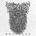 Ulcerot: Necuratu - 7-INCH SINGLE