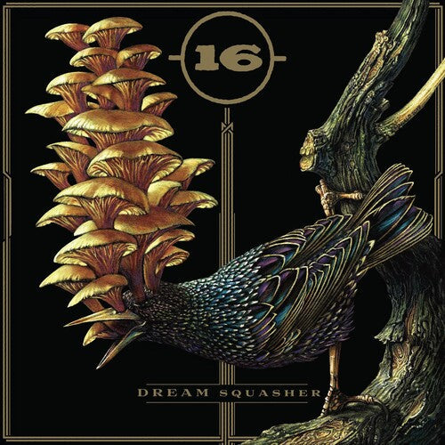 16: Dream Squasher - COMPACT DISCS
