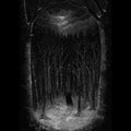 Paysage D'Hiver: Im Wald - COMPACT DISCS
