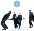 Einsturzende Neubauten: Alles In Allem - {VINYL LP}