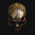 Blight: Temple Of Wounds - {VINYL LP}