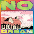 Jeff Rosenstock: No Dream - CASSETTES