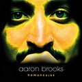 Aaron Brooks: Homunculus - {VINYL LP}