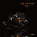 Various Artists: Pop Ambient 2019 (Various Artists) - {VINYL LP}