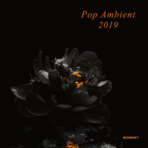 Various Artists: Pop Ambient 2019 (Various Artists) - {VINYL LP}