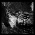 Leonov: Wake - {VINYL LP}