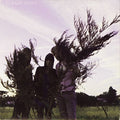 Dignan Porch: On A Ride - 7-INCH SINGLE