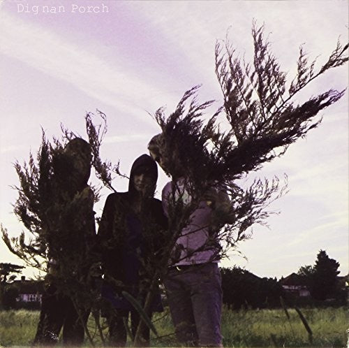 Dignan Porch: On A Ride - 7-INCH SINGLE