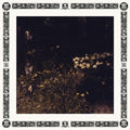 Sarah Davachi: Pale Bloom - COMPACT DISCS