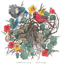 Nathaniel Riley: Bird Songs - {VINYL LP}