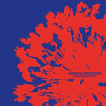 Variat & Merzbow: Unintended Intention - {VINYL LP}