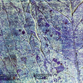 Drowned: Procul His - COMPACT DISCS