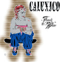 Calexico: Feast of Wire (Bonus Track Version) - {VINYL LP}