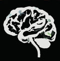 Ruins: Brain Flakes (The Lost Combo Tapes) - {VINYL LP}