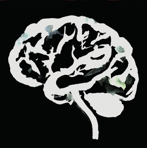 Ruins: Brain Flakes (The Lost Combo Tapes) - {VINYL LP}