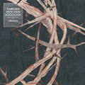 The Meadows: Familiar With Pain - COMPACT DISCS