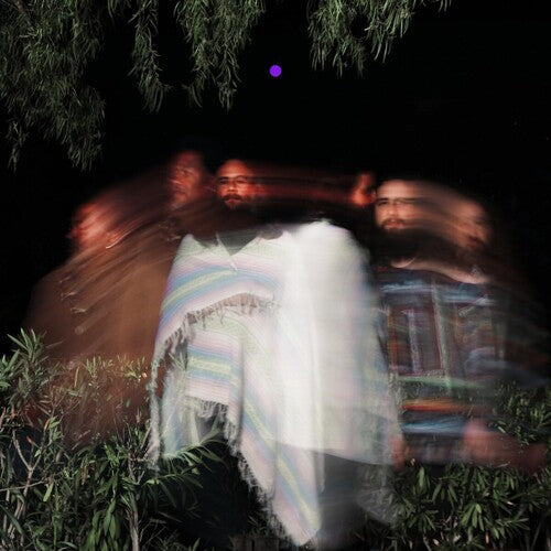 Surya Botofasina: Subtle Movements - {VINYL LP}