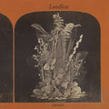 Landless: Luireach - COMPACT DISCS