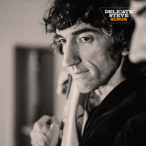 Delicate Steve: Delicate Steve Sings - {VINYL LP}