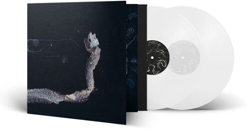 Tenhi: Maaaet - {VINYL LP}