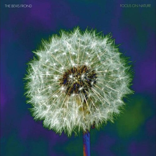 The Bevis Frond: Focus On Nature - {VINYL LP}