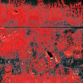 Concrete Winds: Concrete Winds - {VINYL LP}