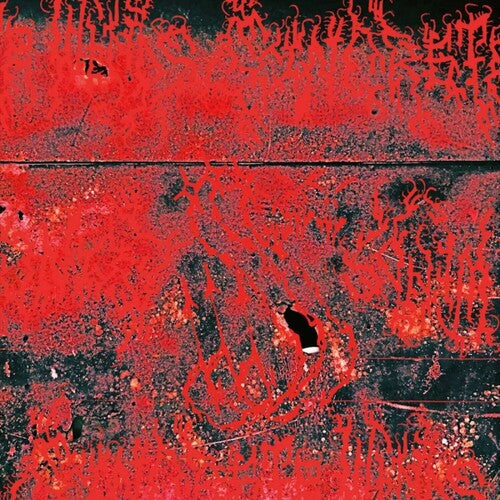 Concrete Winds: Concrete Winds - {VINYL LP}