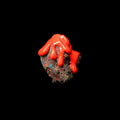 Rubber Oh: Soil - Red Splatter Colored Vinyl - {VINYL LP}