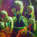 Erik Gundel: Level One Mage - CASSETTES
